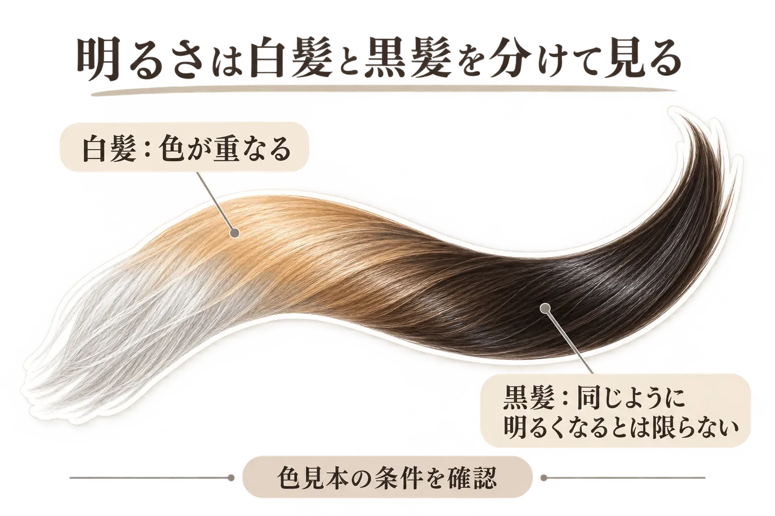 白髪ぼかしカラーでは白髪に色や明るさのニュアンスを足しても黒髪の明るさは同じように変わるとは限らず、しっかり染める場合は白髪と周囲の髪を近い色にそろえることを、白髪と黒髪の毛束で示した図。記事本文をもとに作成。